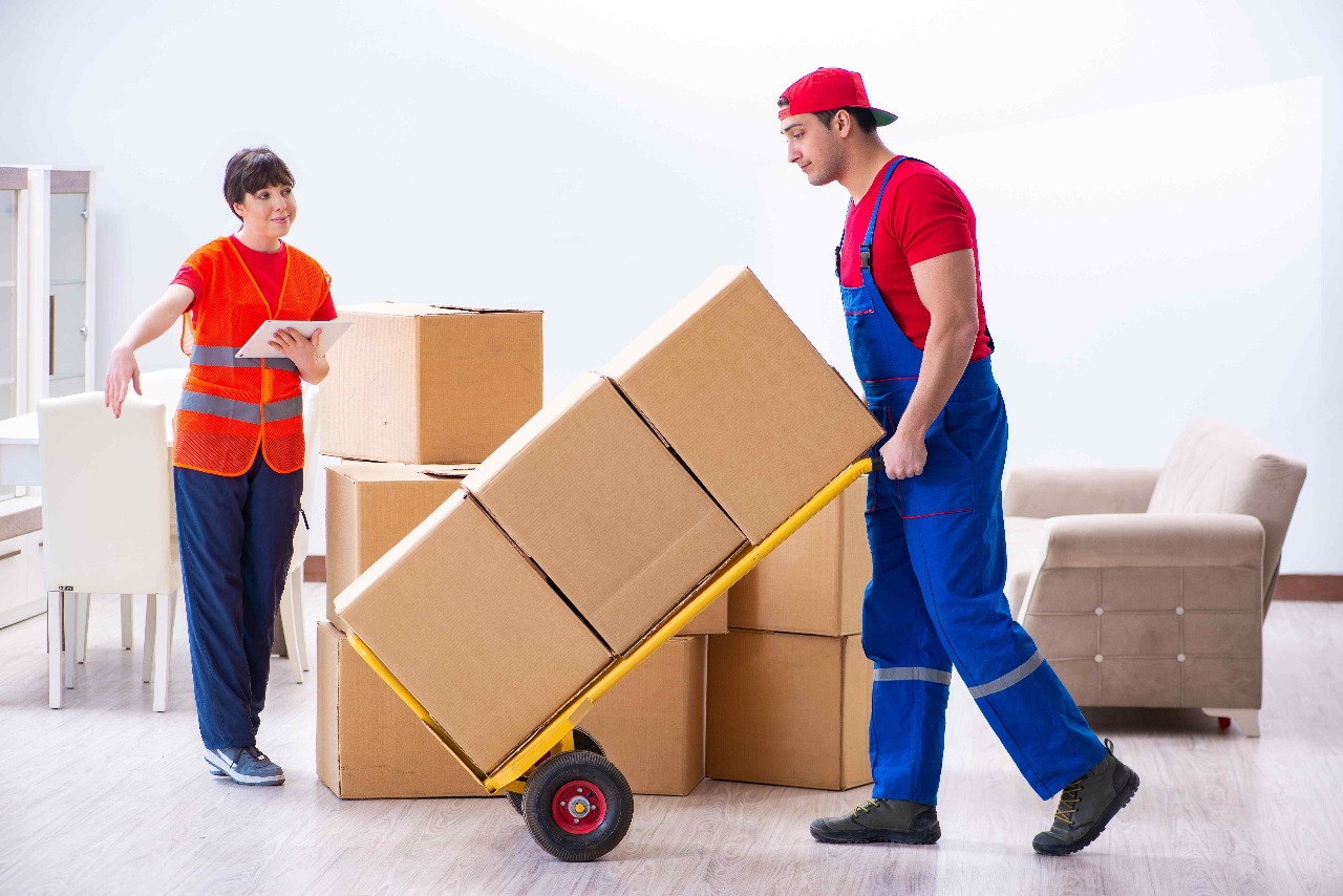 Packers and Movers